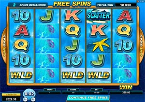 Dolphin Coast Slot Game